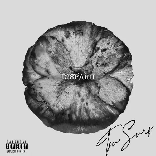 Tsu Surf - Disparu