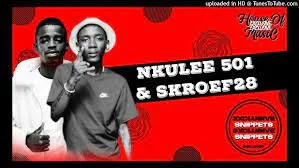 Nkulee 501 & Skroef 28 – Sgidongo3 (Dub Mix)