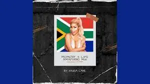 Shuga Cane – Moment 4 Life amapiano mix (Nicky Minaj)