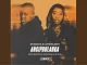 Spumante & Leandra.Vert – Angipholanga feat. Deeper Phil, Shino Kikai & Jay Sax