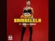 DJ Ayanda – Bambelela ft. Mulo & King LeeB