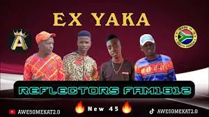 REFLECTORS FAM1812 – EX YAKA (NEW 45)