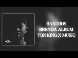 TBN KING X MUSIQ – Brenda Album Mix (Bandros)