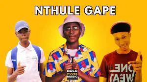 Taken Wabo Rinee x Nanza SA x Nkgetheng The Dj – Nthule Gape