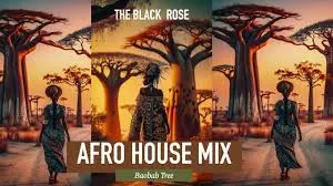 AFRO HOUSE MIX – 01 JAN 24