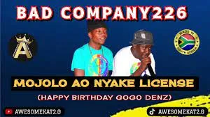 BAD COMPANY 226 – MOJOLO AO NYAKE LICENSE [HBD GOGO DENZ] NEW 45