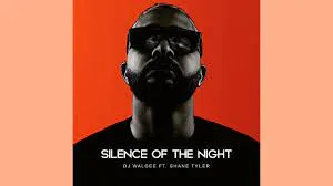 Dj Walgee – Silence of the night feat. Shane Tyler