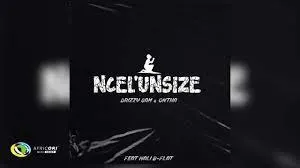 Drizzy Sam & Ontha – Ncel'unsize [Feat. Mali B-flat]