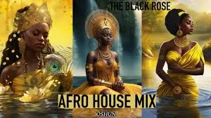 AFRO HOUSE MIX – FEB 2024