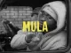 Asvnte – Mula [Feat. JXY]