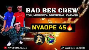 BAD BEE CREW – NYAOPE (45HIT)