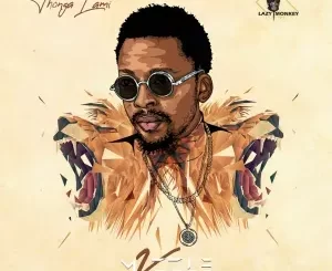 Mvzzle – Thonga Lami