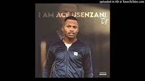 Ace usenzani – The New Chapter