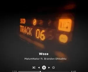 MalumNator & Brandon Dhludhlu – Woza