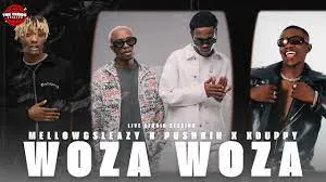 Mellow & Sleazy X Xduppy – Woza Woza Ft. Pushkin