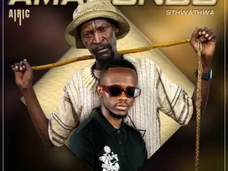 Sthwathwa & Airic – Amazondo ft. Nolly M & Uncle Chilly