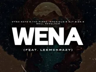 Vyno Keys, The Piano Imperious, Djy Biza & Soul Revolver – Wena ft LeeMcKraz