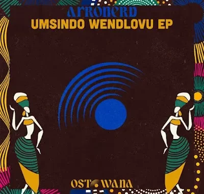 AfroNerd – uMsindo weNdlovu