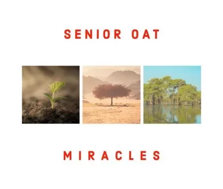 Senior Oat – Miracles