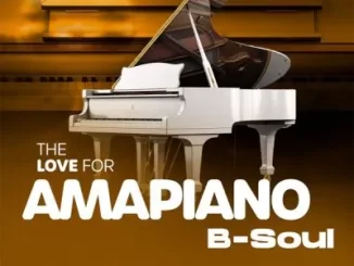 B-Soul – The Love for Amapiano