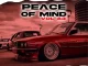 DJ Ace – Peace Of Mind Vol 83 (05 May 2024 Slow Jam Mix)