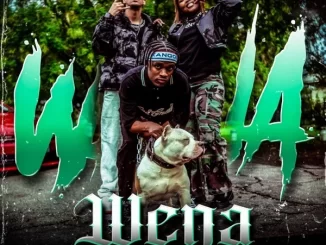 Jimmy Maradona & Jay Music – Wena Ft. Babygirlmint & Candy Flow RSA