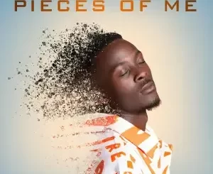 Senjay – Pieces of Me