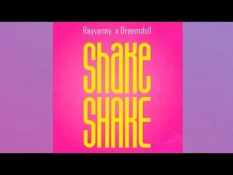 Rayvanny – Shake Shake Feat. DreamDoll