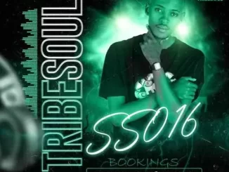 TribeSoul – Selektive Sessions 016 Mix