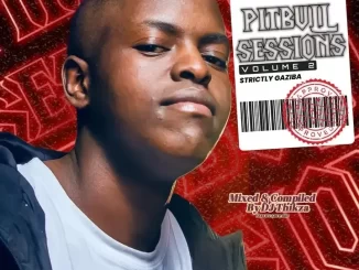 Gaziba – Pitbull Sessions Vol 2