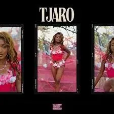 Lunar – Tjaro ft Makhekhe Jr, Mellow & Sleazy, Jay Music, Al Xapo, Boontle RSA & Nation-365