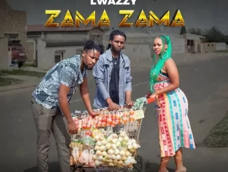 Lwazzy – Zama Zama