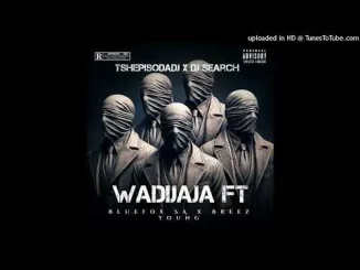 TshepisoDaDj & Dj Search – Wadijaja (ft. Bluefox x Breez Young)