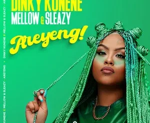 Dinky Kunene – Areyeng ft. Mellow & Sleazy