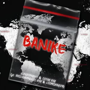 Nandipha808 & Ceeka RSA – Banike Ft. Philharmonic & LeeMcKrazy