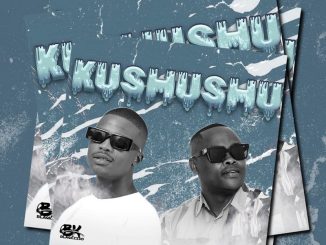 BlaQ Kiidd – Kushushu (feat. Sugar)