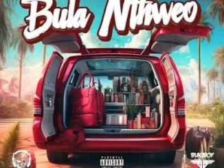 Vetkuk vs Mahoota & DJ Maphorisa – Bula Nthweo ft Jelly Babie, XDuppy, Uncool MC & Ricky Lenyora