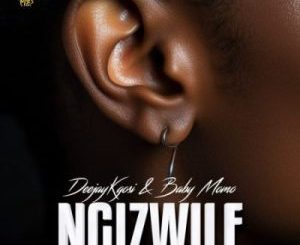 DeejayKgosi & Baby Momo – Ngizwile ft Lington, Zee_nhle, iam.Psalm & Phemelo Saxer