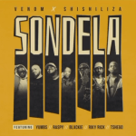 Venom x Shishiliza – Sondela ft. Yumbs, Raspy, Blxckie, Riky Rick (Official Audio)