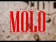 Ceeka RSA – Molo(Official Audio)feat. Tyler ICU, Leemckrazy, Matute Boy, DJ Exit