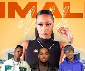 DJ Lisa – Imali Ft. MalumNator, DJ Givy Baby & Nex Vocals