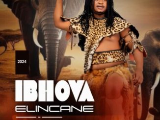 Ibhova elincane – Izulu beliduma