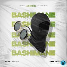 Officixl RSA & Danny Shades – Bashimane