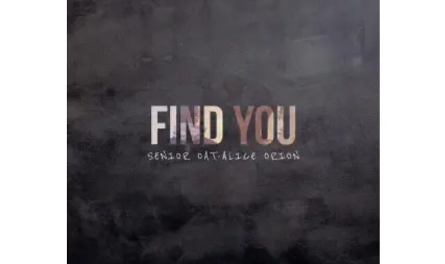 Senior Oat – Find You (feat. Alice Orion)