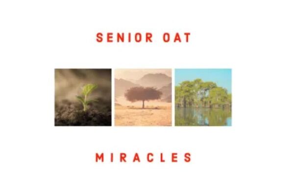 Senior Oat – Reason To Pray (feat. Ms Abbey & AndyLesh)