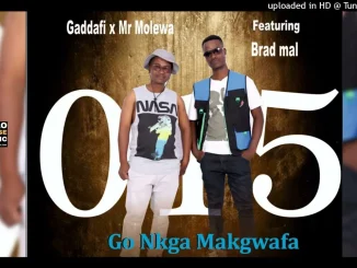 Gaddafi ☓ Mr Molewa – Go Nkga Makgwafa Ft. Brad Mal