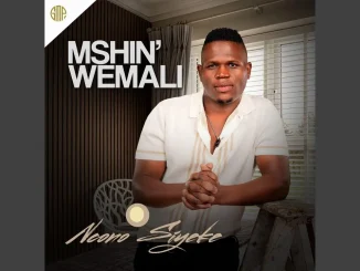 Ncono Siyeke (feat. Shenge wasehlalankosi) –Mshinwemali