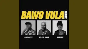 Sfarzo Rtee, Kelvin Momo & Makhanj – Bawo Vula [Remix]