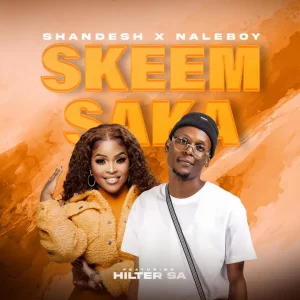 Shandesh & NaleBoy Young King – Skeem Saka ft. Hitler SA