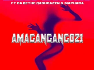 Babes Wodumo – Amagangangozi Ft. Ba Bethe Gashoazen & Maphara